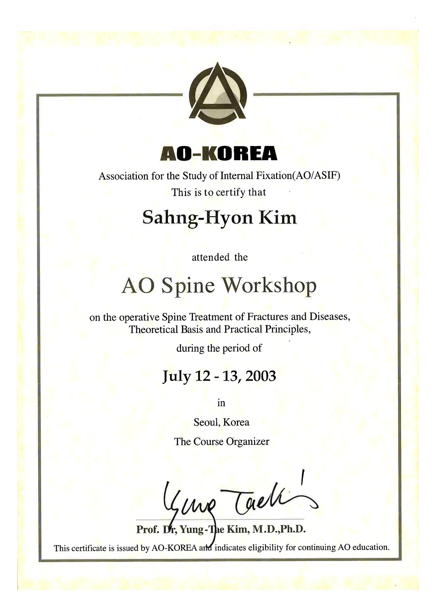 AO-Korea 척추 워크숍 수료증 (2003)